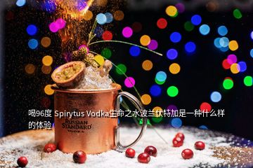 喝96度 Spirytus Vodka生命之水波蘭伏特加是一種什么樣的體驗(yàn)