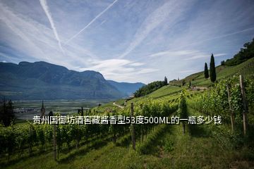 貴州國御坊酒窖藏醬香型53度500ML的一瓶多少錢