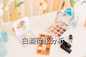 白酒行業(yè)分析