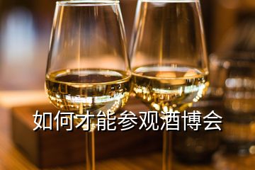 如何才能參觀酒博會