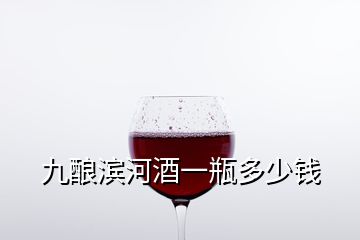 九釀濱河酒一瓶多少錢