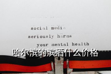 哈爾濱的濱酒什么價格