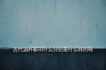 古代酒杯都叫什么分別是什么樣的啊