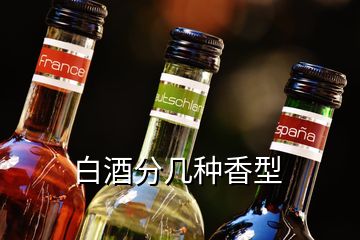 白酒分幾種香型