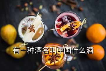 有一種酒名叫中國什么酒