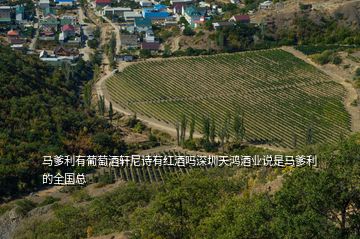 馬爹利有葡萄酒軒尼詩有紅酒嗎深圳天鴻酒業(yè)說是馬爹利的全國總