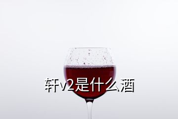 軒v2是什么酒