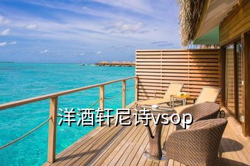 洋酒軒尼詩vsop