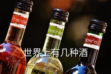 世界上有幾種酒