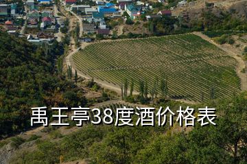 禹王亭38度酒價格表