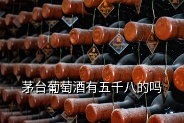 茅臺(tái)葡萄酒有五千八的嗎