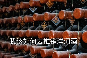 我該如何去推銷洋河酒