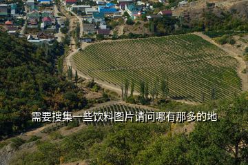 需要搜集一些飲料圖片請問哪有那多的地