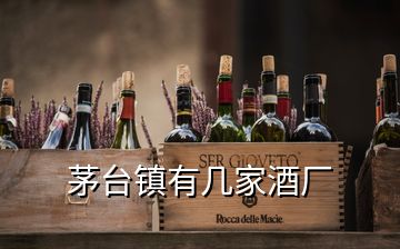 茅臺鎮(zhèn)有幾家酒廠