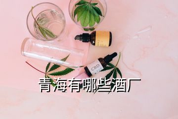 青海有哪些酒廠