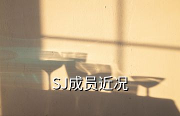 SJ成員近況