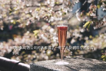 為什么習酒公司的表都填了一年了補助到現(xiàn)在還沒有到呢