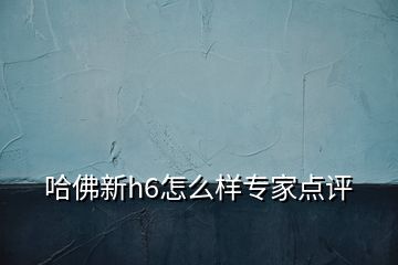 哈佛新h6怎么樣專家點(diǎn)評