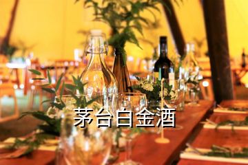 茅臺(tái)白金酒