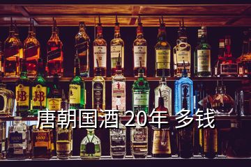 唐朝國(guó)酒 20年 多錢(qián)