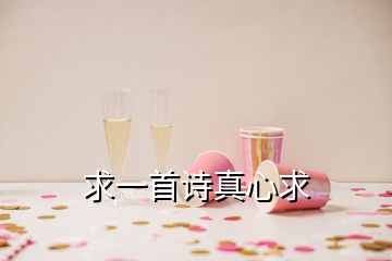 求一首詩真心求
