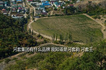 河套集團有什么品牌 我知道是河套韻 河套王