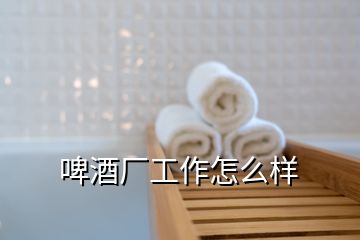 啤酒廠工作怎么樣