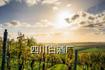 四川白酒廠