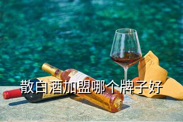 散白酒加盟哪個牌子好