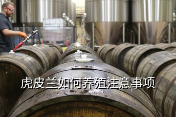 虎皮蘭如何養(yǎng)殖注意事項(xiàng)