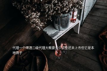 代理一個啤酒二級代理大概要多少資金還未上市但它是本地牌子