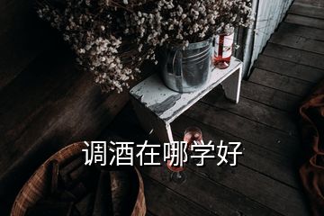 調(diào)酒在哪學好