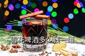 雪花啤酒多少錢(qián)一罐