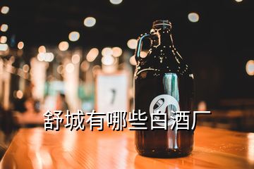 舒城有哪些白酒廠