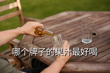 哪個牌子的果汁最好喝