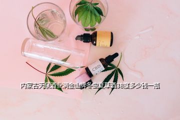 內(nèi)蒙古天泉酒業(yè)洞金山牌冬蟲夏草酒38度多少錢一瓶