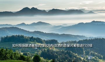 如何根據(jù)釀酒葡萄的理化指標及酒的質(zhì)量對葡萄進行分級