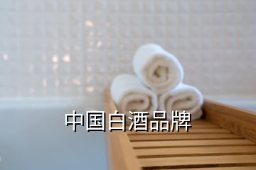 中國(guó)白酒品牌