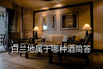 白蘭地屬于哪種酒簡(jiǎn)答