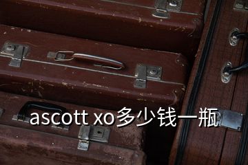 ascott xo多少錢一瓶