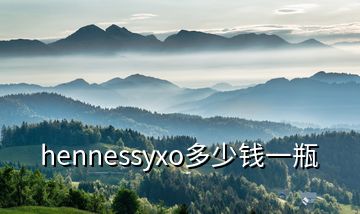 hennessyxo多少錢(qián)一瓶