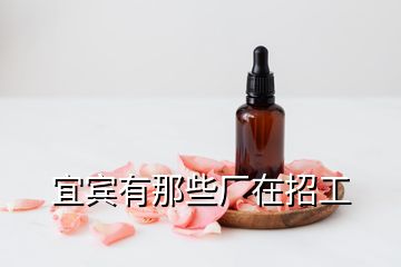 宜賓有那些廠在招工