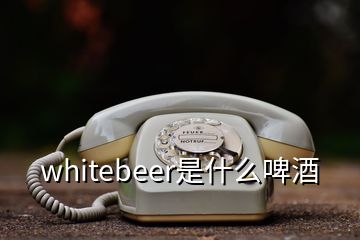 whitebeer是什么啤酒