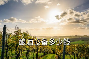 釀酒設(shè)備多少錢