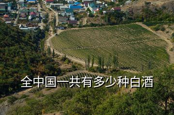 全中國(guó)一共有多少種白酒