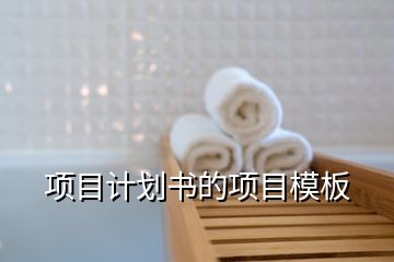 項目計劃書的項目模板