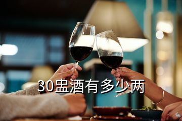 30盅酒有多少兩