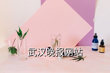 武漢晚報(bào)網(wǎng)站