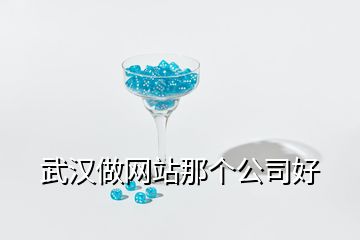 武漢做網(wǎng)站那個(gè)公司好