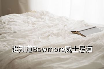 誰知道Bowmore威士忌酒